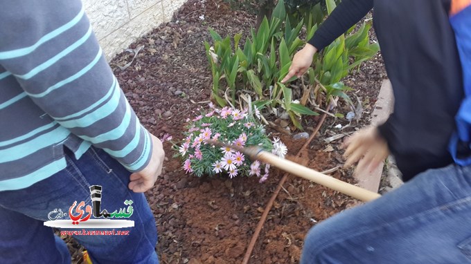 طلاب الثانوية الجديدة يحتفلون بعيد الشجرة